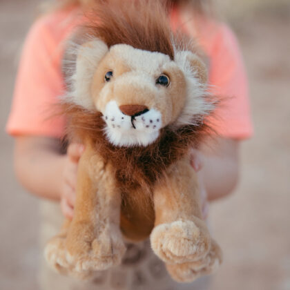 Plush Toys